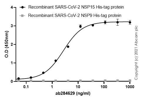 Indirect ELISA - Anti-SARS-CoV-2 nsp15 antibody [EPR24840-74] (AB284629)