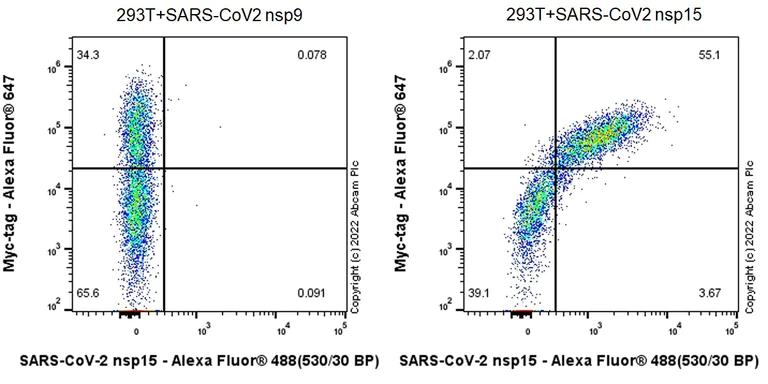 Flow Cytometry - Anti-SARS-CoV-2 nsp15 antibody [EPR24840-74] - BSA and Azide free (AB284630)