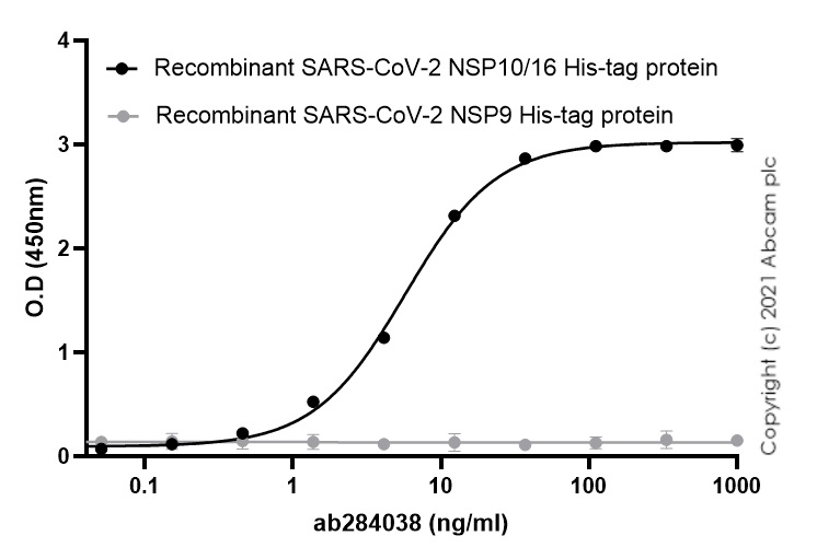 Indirect ELISA - Anti-SARS-CoV-2 nsp16 antibody [EPR24841-18] (AB284038), expandable thumbnail