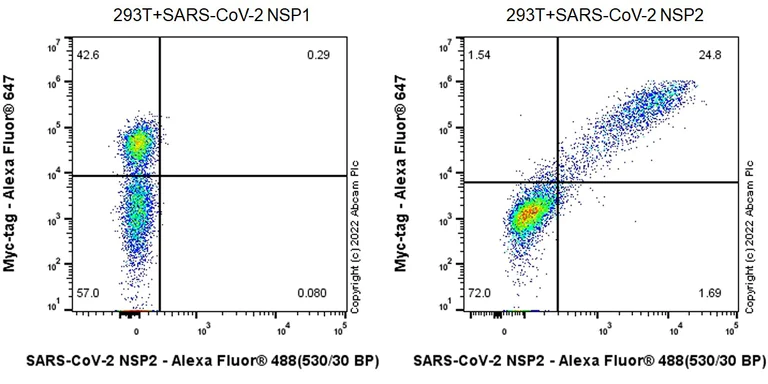 Flow Cytometry (Intracellular) - Anti-SARS-CoV-2 nsp2 antibody [EPR24853-4] - BSA and Azide free (AB284050)