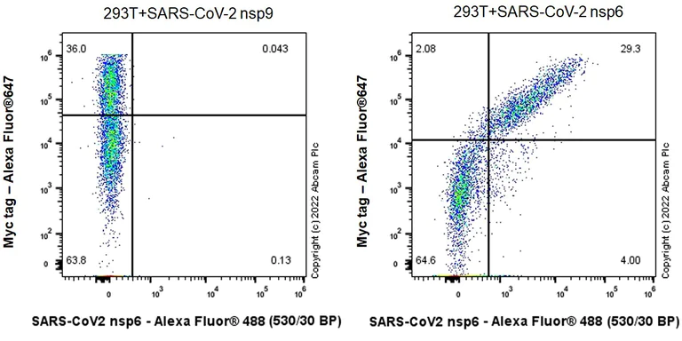 Flow Cytometry (Intracellular) - Anti-SARS-CoV-2 nsp6 antibody [EPR24845-90] (AB284633)