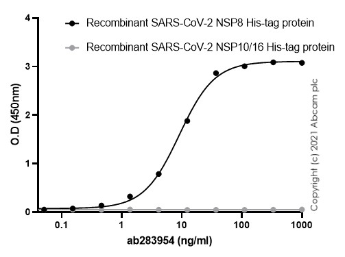 Indirect ELISA - Anti-SARS-COV-2 nsp8 antibody [EPR24854-42] - BSA and Azide free (AB283955), expandable thumbnail