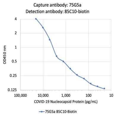 Sandwich ELISA - Anti-SARS-CoV-2 nucleocapsid protein antibody [75G5a] (AB284653)