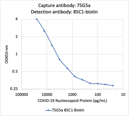 Sandwich ELISA - Anti-SARS-CoV-2 nucleocapsid protein antibody [75G5a] (AB284653), expandable thumbnail