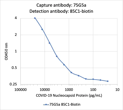 Sandwich ELISA - Anti-SARS-CoV-2 nucleocapsid protein antibody [75G5a] (AB284653)