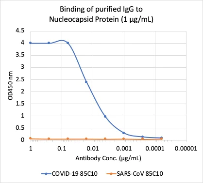 ELISA - Anti-SARS-CoV-2 nucleocapsid protein antibody [85C10] (AB284650)