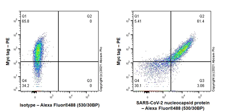 Flow Cytometry (Intracellular) - Anti-SARS-CoV-2 nucleocapsid protein antibody [EPR24334-118] - BSA and Azide free (AB280201)
