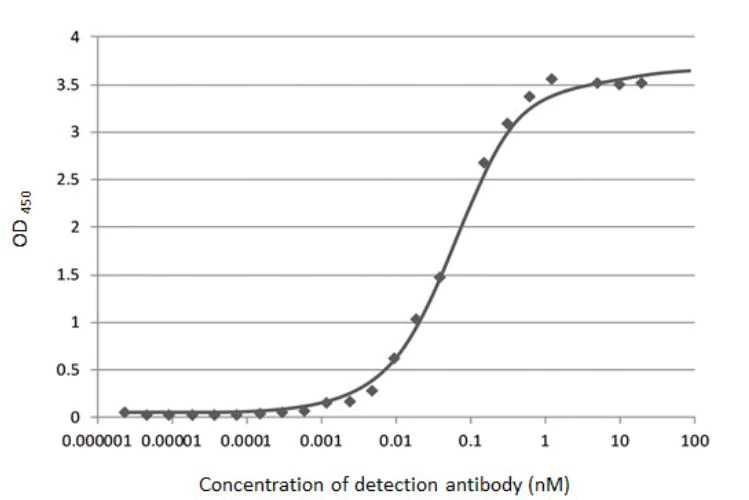 Indirect ELISA - Anti-SARS-CoV-2 nucleocapsid protein antibody [HL146] - BSA and Azide free (AB281294)