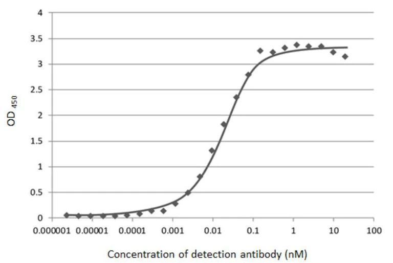 Indirect ELISA - Anti-SARS-CoV-2 nucleocapsid protein antibody [HL249] - BSA and Azide free (AB281295)
