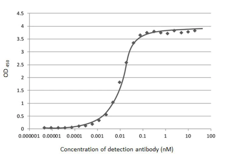 Indirect ELISA - Anti-SARS-CoV-2 nucleocapsid protein antibody [HL448] - BSA and Azide free (AB281297)