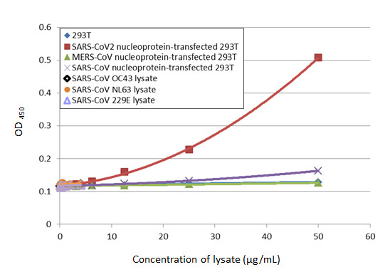 Sandwich ELISA - Anti-SARS-CoV-2 nucleocapsid protein antibody [HL455-MS] - BSA and Azide free (ab281300), expandable thumbnail