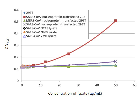 Sandwich ELISA - Anti-SARS-CoV-2 nucleocapsid protein antibody [HL455-MS] - BSA and Azide free (AB281300)