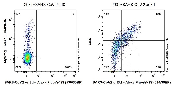 Flow Cytometry (Intracellular) - Anti-SARS-CoV-2 orf3d antibody [EPR25045-51] (AB284040)