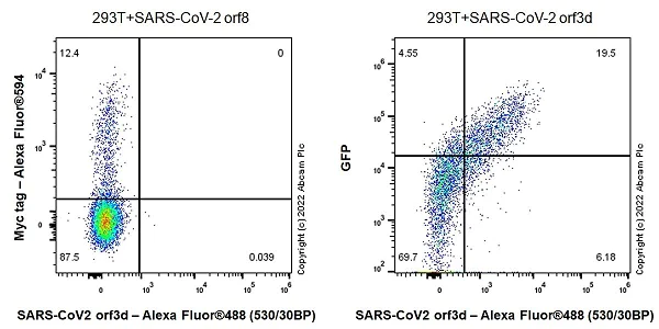 Flow Cytometry (Intracellular) - Anti-SARS-CoV-2 orf3d antibody [EPR25045-51] - BSA and Azide free (AB284054)