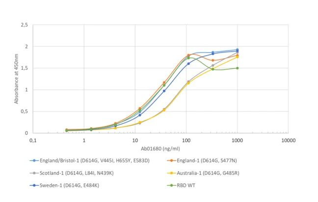 ELISA - Anti-SARS-CoV-2 Spike Glycoprotein S1 antibody [CR3022] - Rabbit IgG (Chimeric) (AB273074)