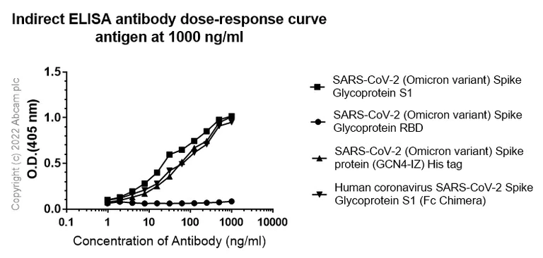 ELISA - Anti-SARS-CoV-2 Spike Glycoprotein S1 antibody [EPR24852-116] (AB283942)
