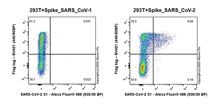 Flow Cytometry - Anti-SARS-CoV-2 Spike Glycoprotein S1 antibody [EPR24852-116] - BSA and Azide free (AB283943)