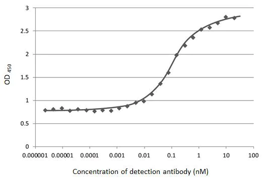 Indirect ELISA - Anti-SARS-CoV-2 Spike Glycoprotein S1 antibody [HL1] - BSA and Azide free (AB281307)