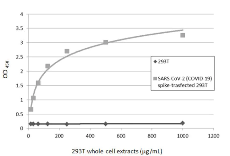 Sandwich ELISA - Anti-SARS-CoV-2 Spike Glycoprotein S1 antibody [HL1] - BSA and Azide free (AB281307)