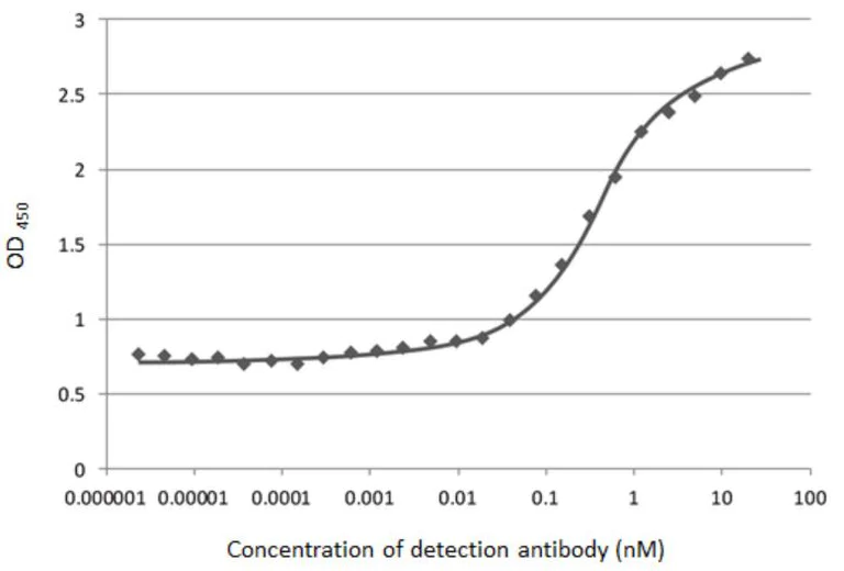 Indirect ELISA - Anti-SARS-CoV-2 Spike Glycoprotein S1 antibody [HL263] - BSA and Azide free (AB281310)