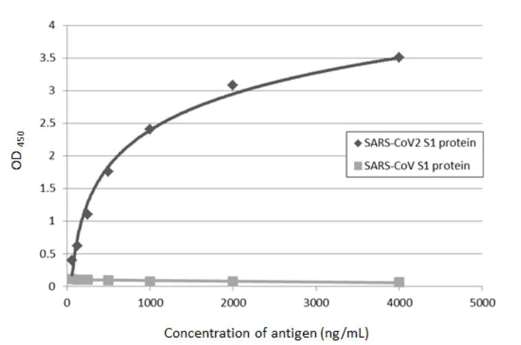 Indirect ELISA - Anti-SARS-CoV-2 Spike Glycoprotein S1 antibody [HL263] - BSA and Azide free (AB281310)