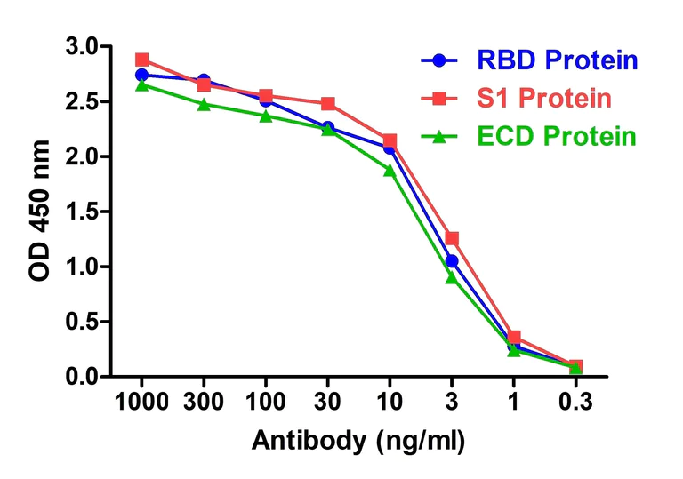 ELISA - Anti-SARS-CoV-2 Spike Glycoprotein S1 antibody [RBD-2B9] - BSA and Azide free (AB288138)