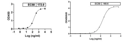 ELISA - Anti-SARS-CoV-2 Spike Glycoprotein S1 antibody [S309] - BSA and Azide free (AB289796)