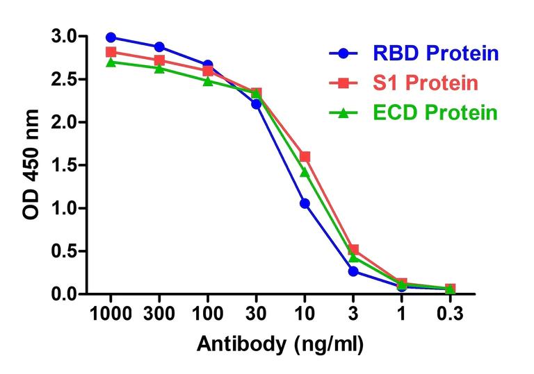 ELISA - Anti-SARS-CoV-2 Spike Glycoprotein S1 antibody [T4P5-H12] - BSA and Azide free (AB288143)