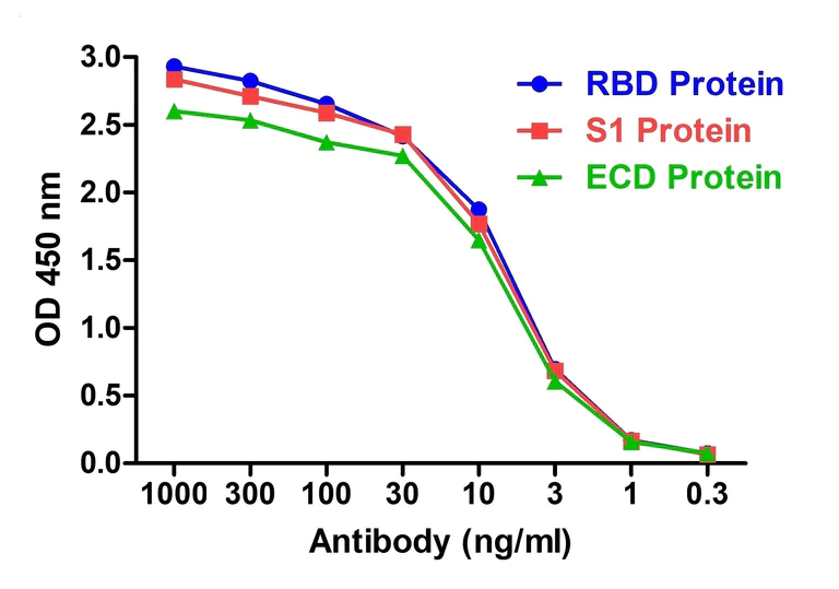 ELISA - Anti-SARS-CoV-2 Spike Glycoprotein S1 antibody [T5P4-A12] - BSA and Azide free (AB288139)