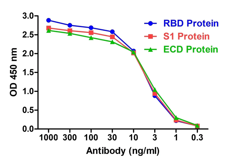 ELISA - Anti-SARS-CoV-2 Spike Glycoprotein S1 antibody [T5P7-G10] - BSA and Azide free (AB288140)
