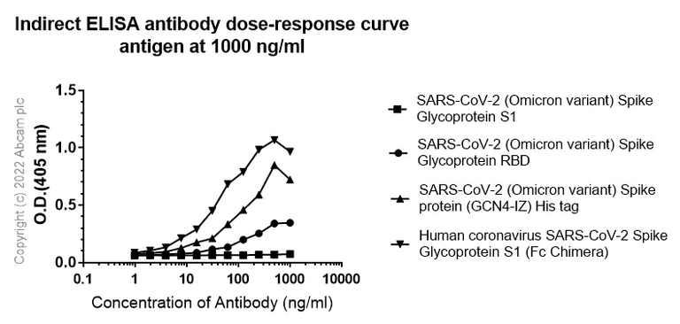Indirect ELISA - Anti-SARS-CoV-2 Spike Glycoprotein S1 (RBD) antibody [EPR24852-174] (AB283946)