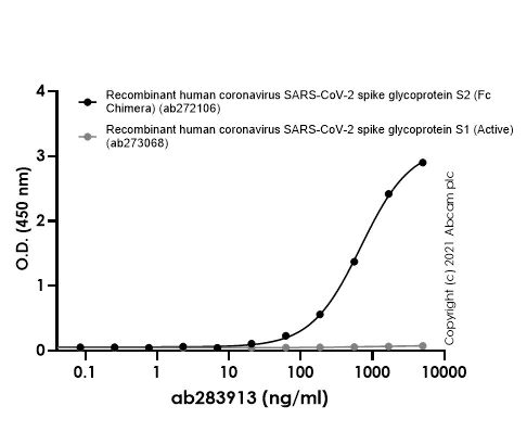 Indirect ELISA - Anti-SARS-CoV-2 Spike Glycoprotein S2 antibody [EPR25038-122] (AB283913)
