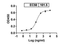 ELISA - Anti-SARS CoV-2 Spike NTD antibody [4A8] - BSA and Azide free (AB289797), expandable thumbnail