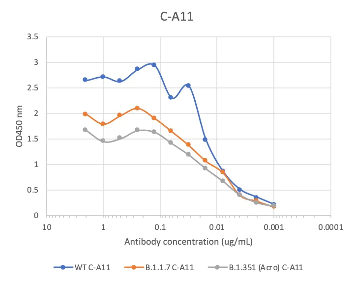 ELISA - Anti-SARS-CoV-2 Spike RBD antibody [CA11] (AB284651)