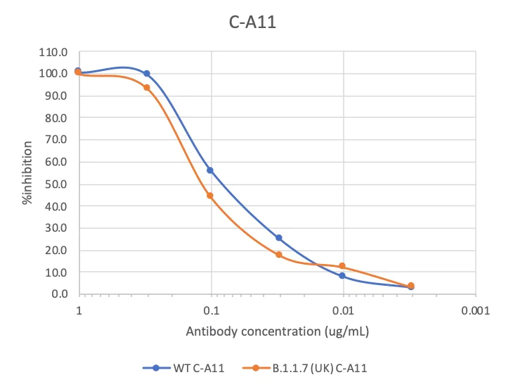 Flow Cytometry - Anti-SARS-CoV-2 Spike RBD antibody [CA11] (AB284651)