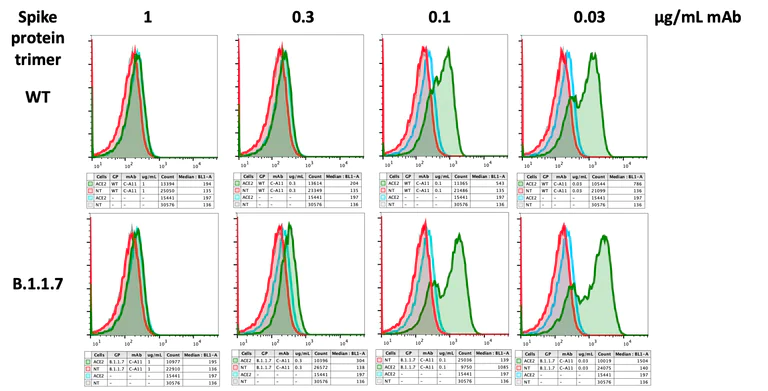 Flow Cytometry - Anti-SARS-CoV-2 Spike RBD antibody [CA11] (AB284651)
