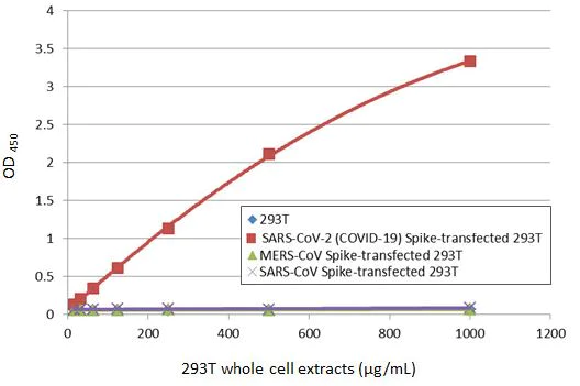 Sandwich ELISA - Anti-SARS-CoV-2 Spike RBD antibody [HL1004] - BSA and Azide free (AB281304)