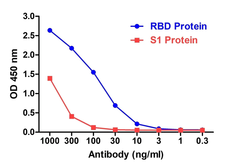 ELISA - Anti-SARS-CoV-2 Spike RBD antibody [T5P8-F9] - BSA and Azide free (AB288141)