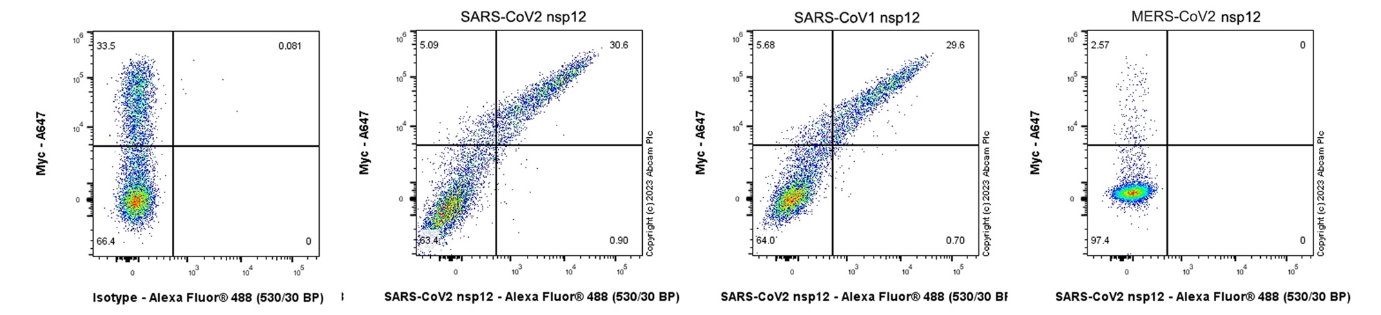 Flow Cytometry - Anti-SARS-CoV2 nsp12 antibody [EPR24837-213] (ab315964), expandable thumbnail