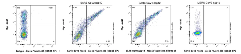Flow Cytometry - Anti-SARS-CoV2 nsp12 antibody [EPR24837-213] (AB315964)