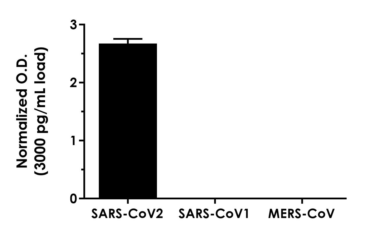 Sandwich ELISA - SARS-CoV2 Nucleoprotein ELISA Kit (AB315296)
