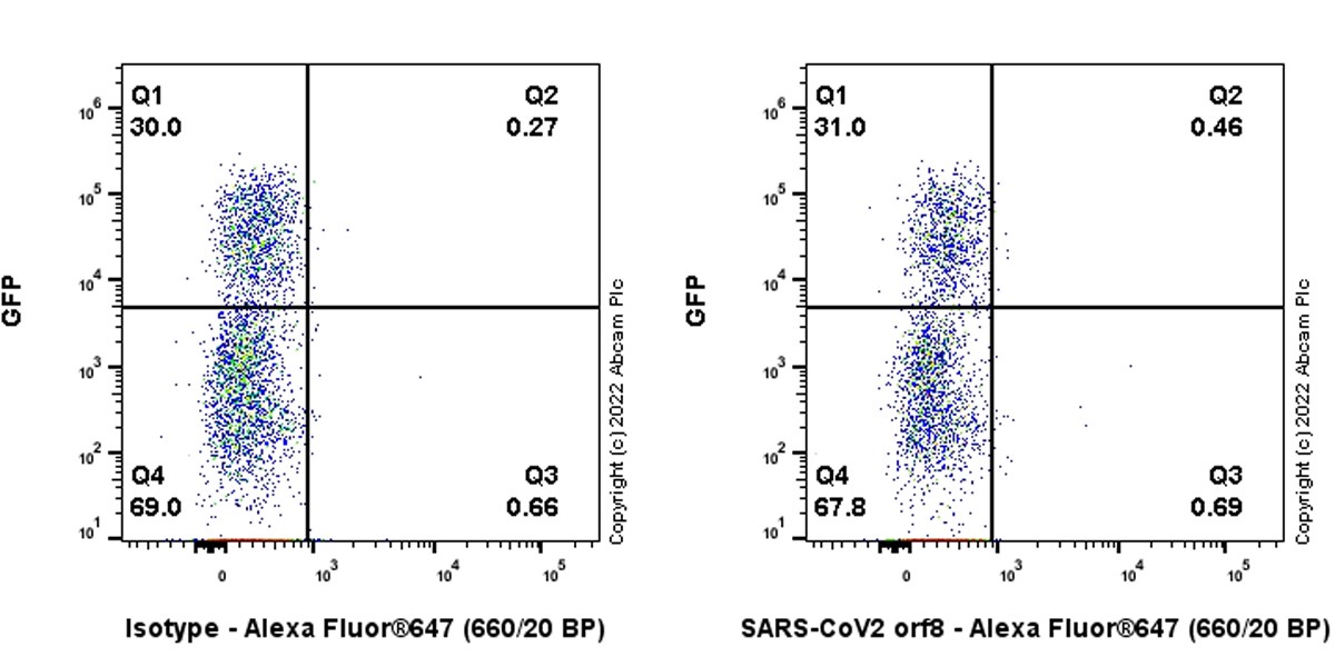 Flow Cytometry (Intracellular) - Anti-SARS-CoV2 orf8 antibody [EPR24851-65] (AB283914)