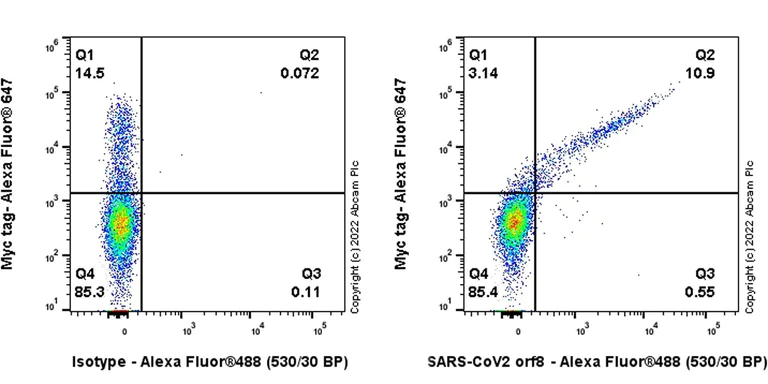 Flow Cytometry (Intracellular) - Anti-SARS-CoV2 orf8 antibody [EPR24851-65] - BSA and Azide free (AB284042)