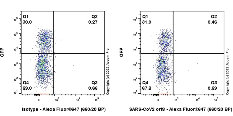 Flow Cytometry (Intracellular) - Anti-SARS-CoV2 orf8 antibody [EPR24851-65] - BSA and Azide free (AB284042)