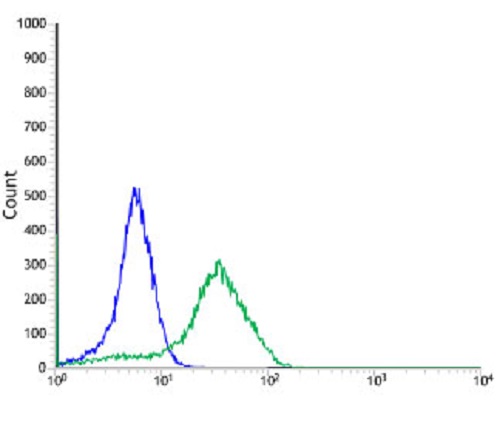 Flow Cytometry (Intracellular) - Anti-SATB1 antibody [SP280] - C-terminal (AB227685), expandable thumbnail