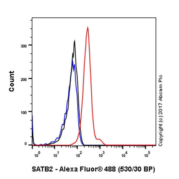 Flow Cytometry (Intracellular) - Anti-SATB2 antibody [EPNCIR130A] (ab92446), expandable thumbnail
