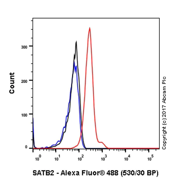 Flow Cytometry (Intracellular) - Anti-SATB2 antibody [EPNCIR130A] (AB92446)