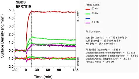 OI-RD Scanning - Anti-SBDS antibody [EPR7819] - BSA and Azide free (AB248212)