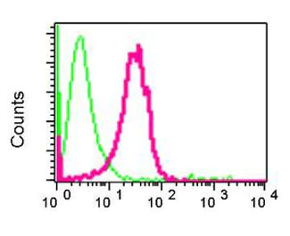 Flow Cytometry (Intracellular) - Anti-SCAI antibody [EPR4128] - BSA and Azide free (AB247960)