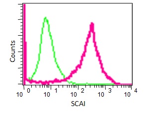Flow Cytometry (Intracellular) - Anti-SCAI antibody [EPR4128] - BSA and Azide free (AB247960), expandable thumbnail